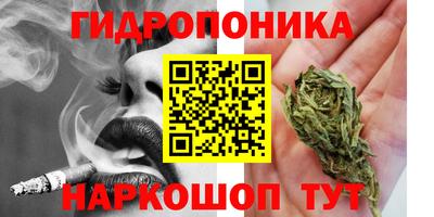 прущие крисы Заводоуковск