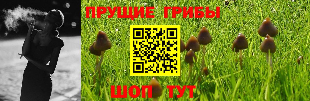 NBOMe  Гашиш  Как найти наркотики?  Вход с VPN  Магадан  ГАШ  Меф МЯУ МЯУ   Бошки Шишки  Вейп ТГК  Кокаин 