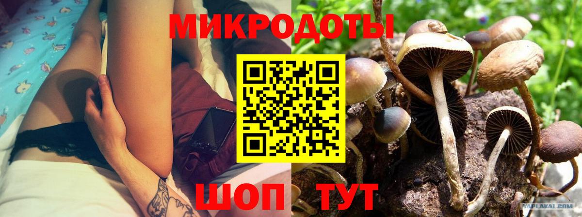 Галлюциногенные грибы Cubensis  Псилоцибиновые грибы Psilocybine cubensis  Магадан  Вход с VPN 