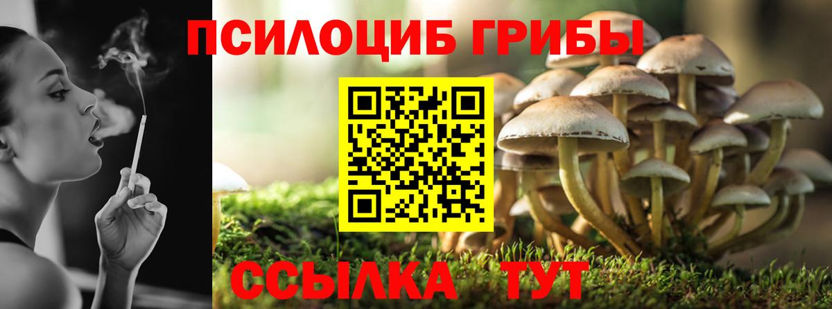 Галлюциногенные грибы мицелий Магадан
